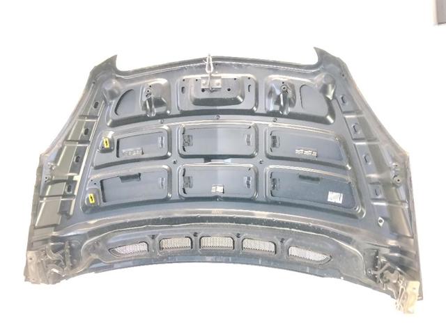 A1698800257 Капот купить Каменское