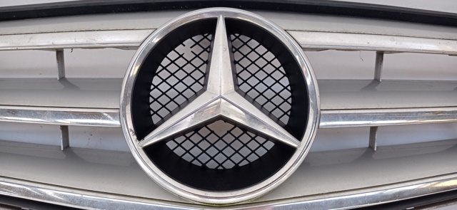 Grelha do radiador Mercedes C W204
