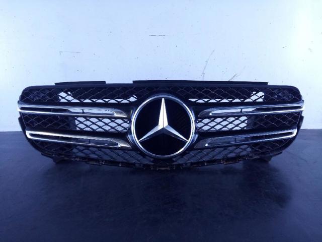 MERCEDES A25388066767 в наличии Каменское