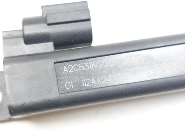 RENAULT A2C53119236 в наличии Запорожье
