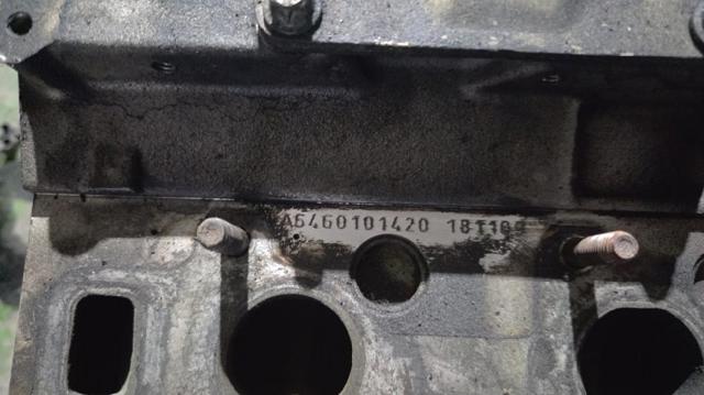 Cabeça de motor (CBC) A6460101420 MERCEDES