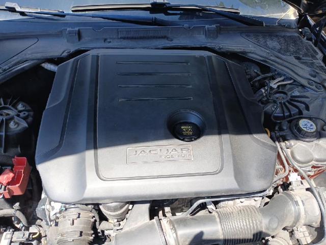 AJ813164 купить Павлоград