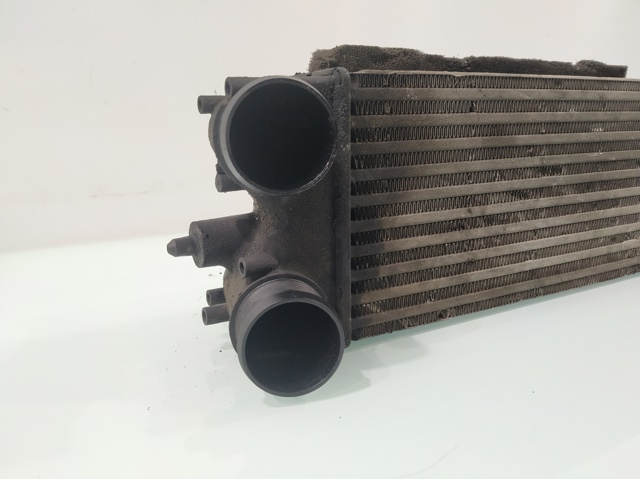 AV219L440AB FORD Радиатор интеркуллера купить в Полтава