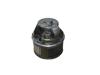 Motor de ventilador de forno (de aquecedor de salão) AV6N18456AA FORD
