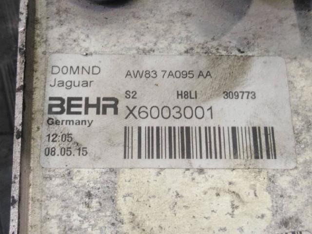 JAGUAR AW837A095AA Радиатор охлаждения, АКПП/КПП в наличии Черновцы