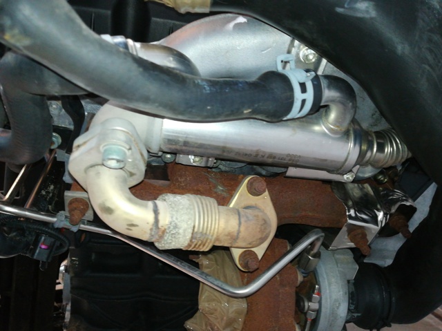 Motor montado Seat Leon 1 1M1