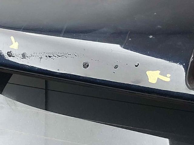 Porta traseira (3ª/5ª porta-malas (tampa de alcapão) Land Rover Range Rover L320