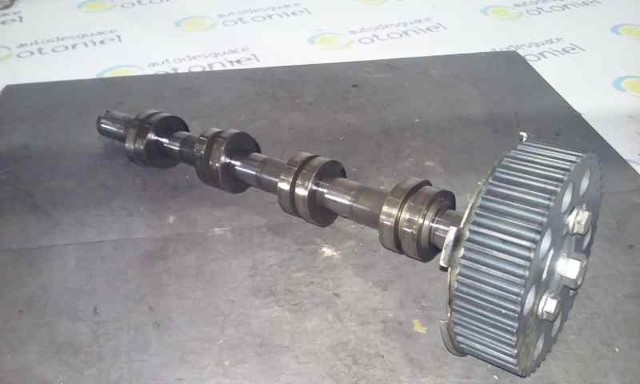 BKD VAG
