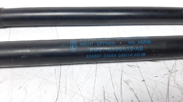 BM51A406A10AE FORD Амортизатор крышки багажника (двери 3/5-й задней) купить в Винница