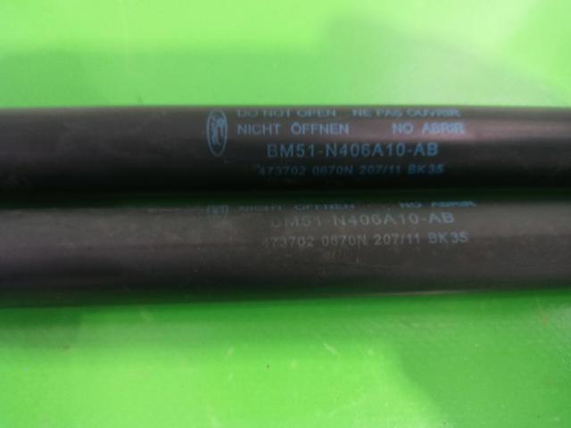 BM51N406A10 купить Черновцы
