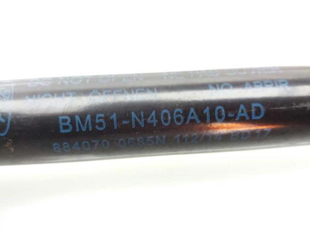 FORD BM51N406A10AD Амортизатор крышки багажника (двери 3/5-й задней) в наличии Львов