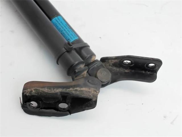 C10062620D MAZDA Амортизатор багажника купить в Львов