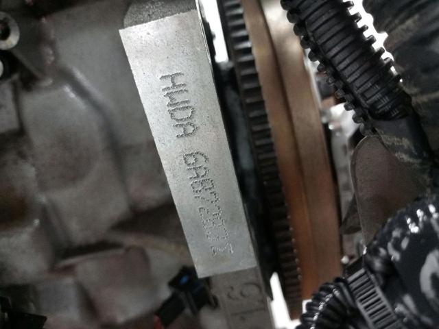 C16HDEZ FORD Двигатель в сборе купить в Кривой Рог