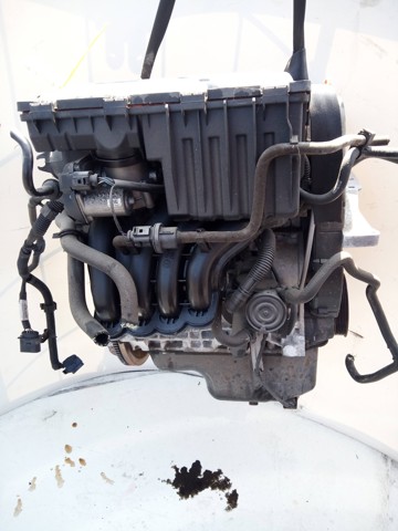 Motor montado Seat Ibiza 4 6J5, 6P1