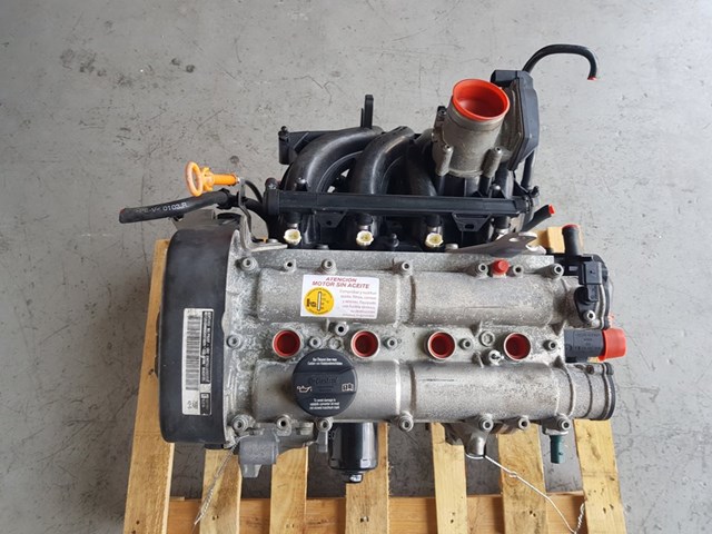 Motor montado Seat Ibiza 4 6J5, 6P1