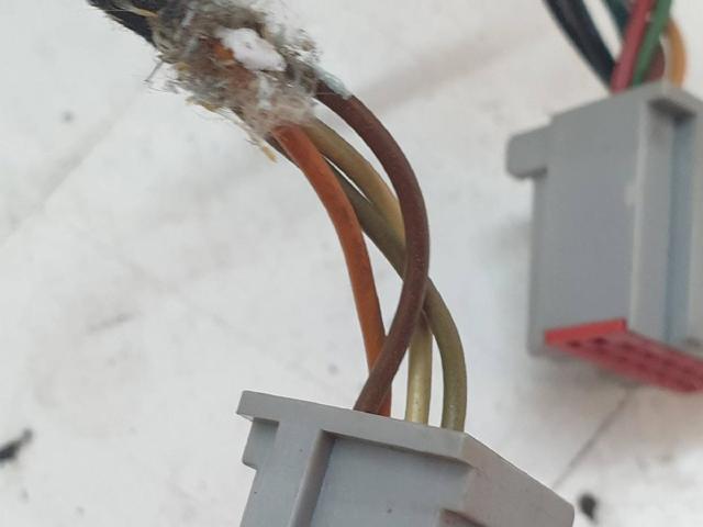CRB502393PMA Зеркало заднего вида левое купить Черновцы