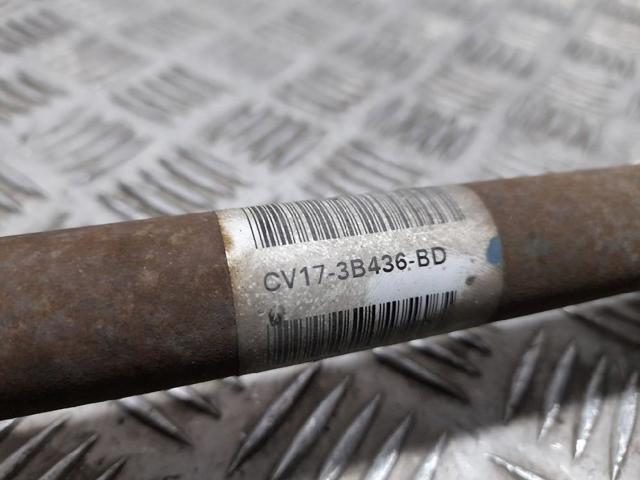 CV173B436BD FORD Правая полуось купить в Сумы