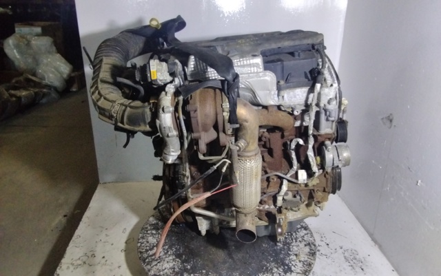 CVF5 FORD Двигатель купить в Полтава