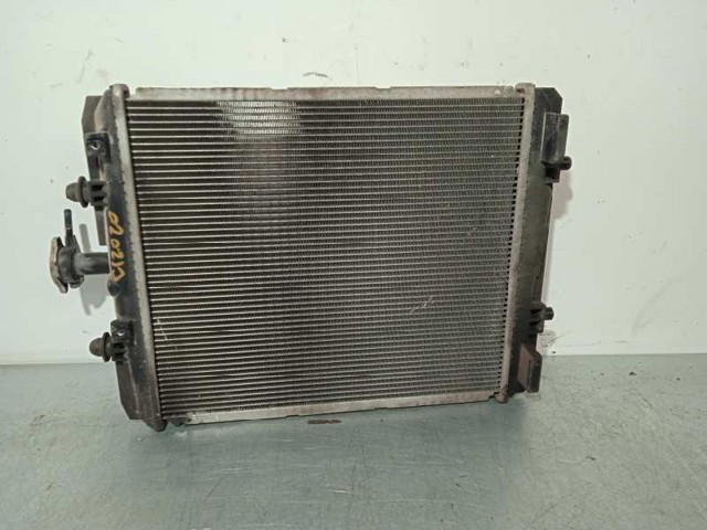 PEUGEOT CZ42217313420T Радиатор охлаждения двигателя в наличии Запорожье