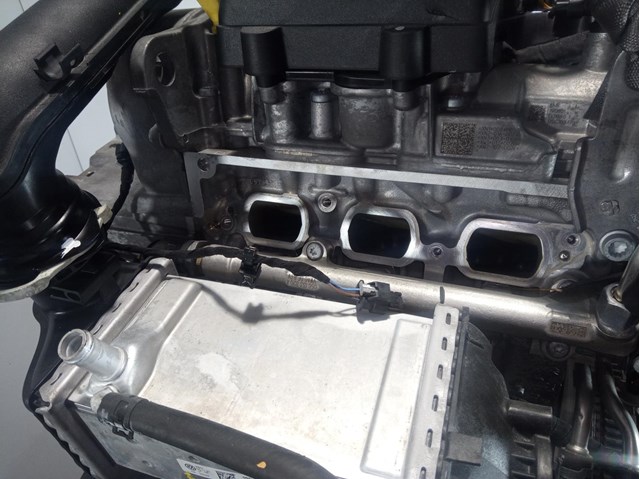 Motor completo para SEAT Ibiza (KJ1) MKB DLAA