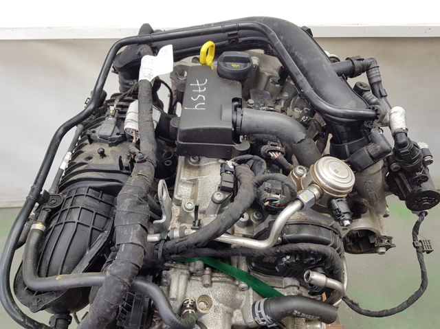 Motor montado Skoda Octavia NX3, NN3, PV3