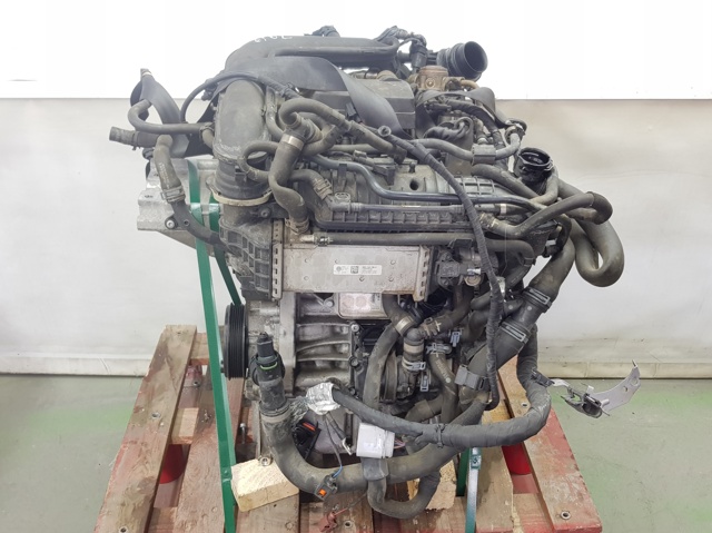 Motor montado Skoda Octavia NX3, NN3, PV3
