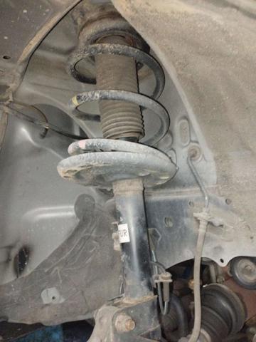 E43021AN0B NISSAN Амортизатор передний правый купить в Черкассы