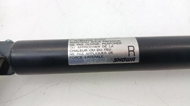 EG2162620C Амортизатор крышки багажника (двери 3/5-й задней) купить Кривой Рог