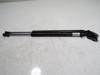 Amortecedor de tampa de porta-malas (de 3ª/5ª porta traseira) EG2162620D MAZDA