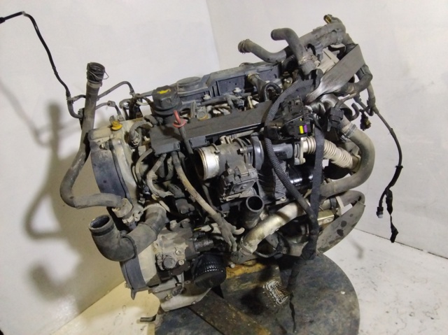 Motor montado F1AE3481D Fiat/Alfa/Lancia