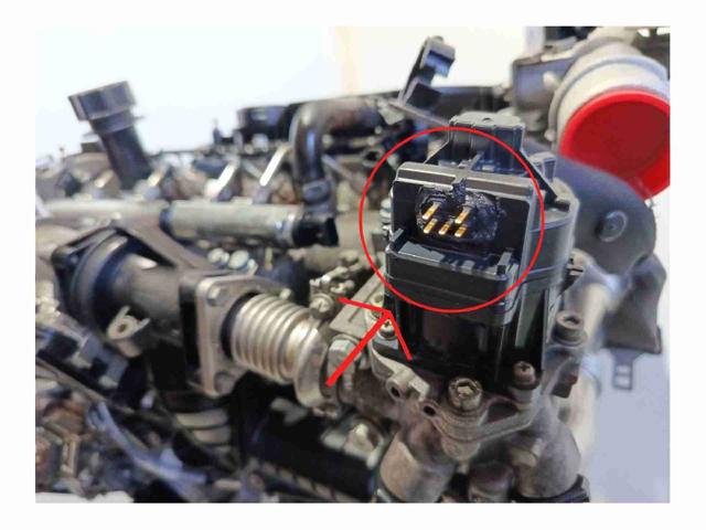 FIAT F1AGL411D Двигатель в наличии Украина