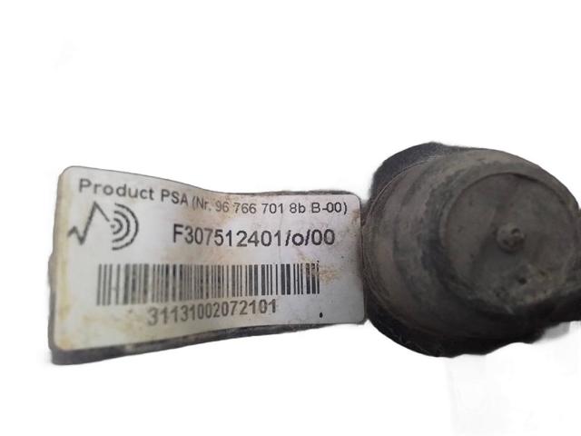 F307512401 PEUGEOT Пневмоподушка (пневморессора) моста заднего купить в Ирпень