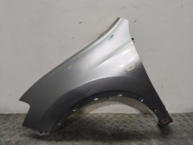 Pára-lama dianteiro esquerdo Nissan Qashqai 1 J10