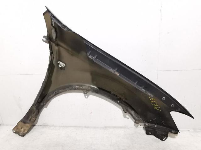 Pára-lama dianteiro esquerdo Nissan Qashqai 1 J10