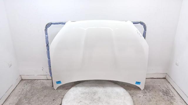 F5100BR0MA NISSAN Капот купить в Сумы