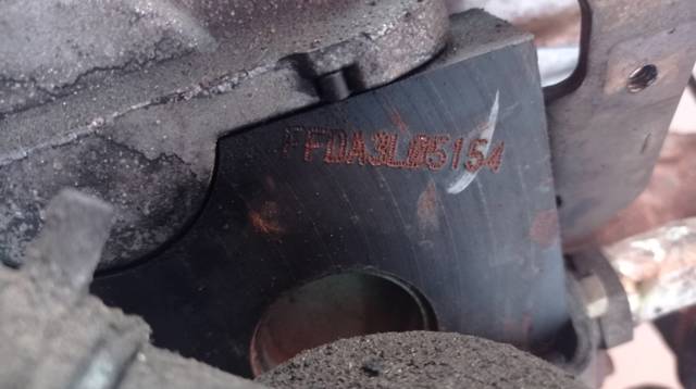 Motor montado Ford Focus 1 DFW