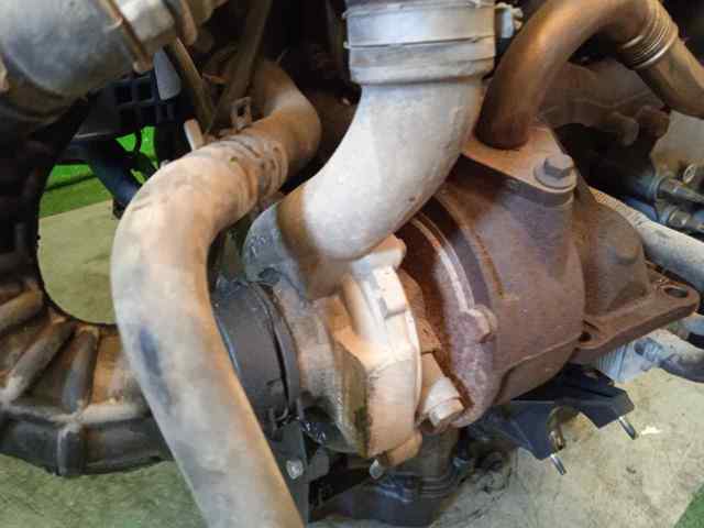 Motor montado Ford Focus 1 DFW