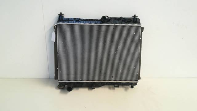 FORD GN118005CC Радиатор в наличии Полтава