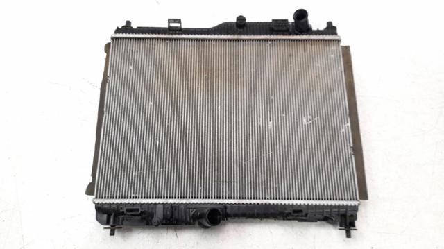FORD GN118005CC Радиатор в наличии Украина