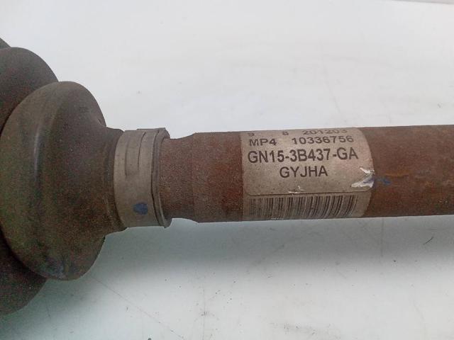 GN153B437GA FORD купить в Ужгород