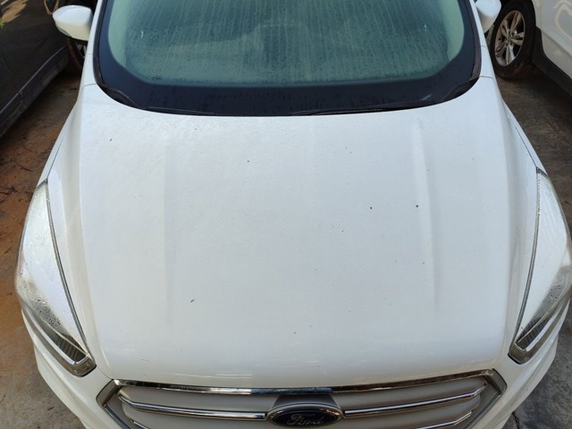 GV41S16612BD FORD Капот купить в Днепр