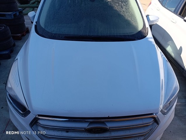 GV41S16612BD Капот купить Киев
