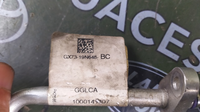 JAGUAR GX7319N648BC в наличии Днепр