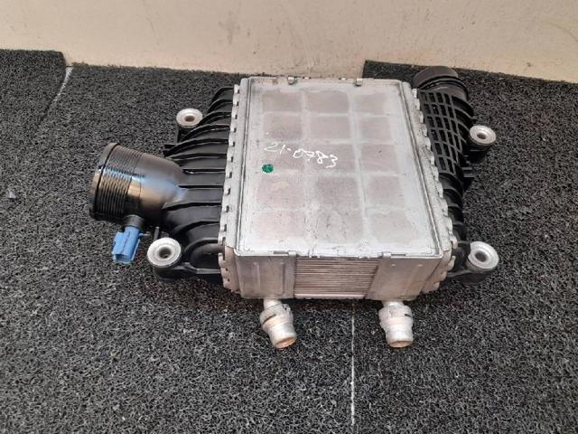 GX736K775AC JAGUAR Радиатор интеркуллера купить в Житомир