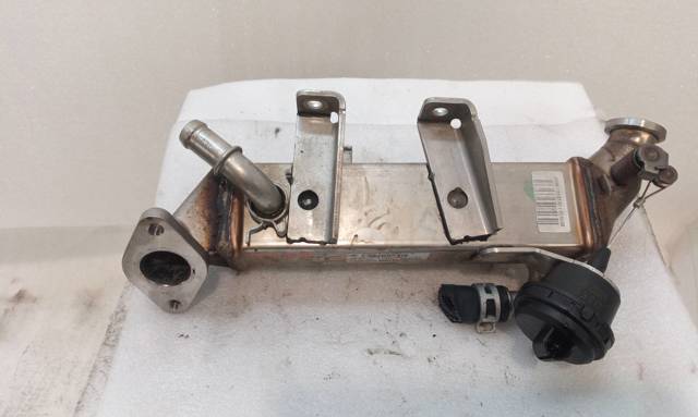H8200620695 NISSAN купить в Ровно