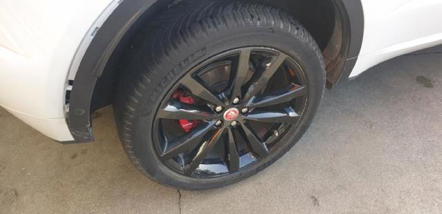 JAGUAR J9C1776 Амортизатор задний в наличии Винница