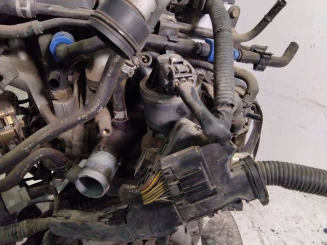 K20A6 HONDA Двигатель в сборе купить в Украина