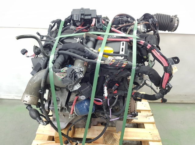 Motor montado K9K636 RENAULT
