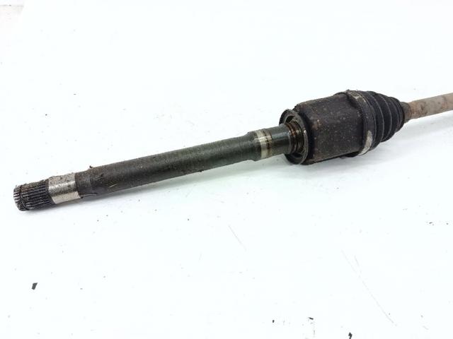 LR025872 купить Тернополь