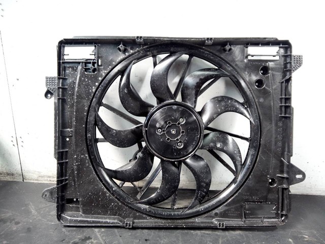 Difusor do radiador de esfriamento, montado com motor e roda de aletas LX618C607AC Ford
